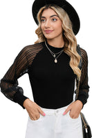 Black Basic Crew Neck Dressy Striped Mesh Long Sleeve Top