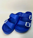 Blue Buddy Slides