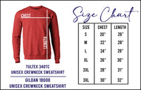 Checkered Softball